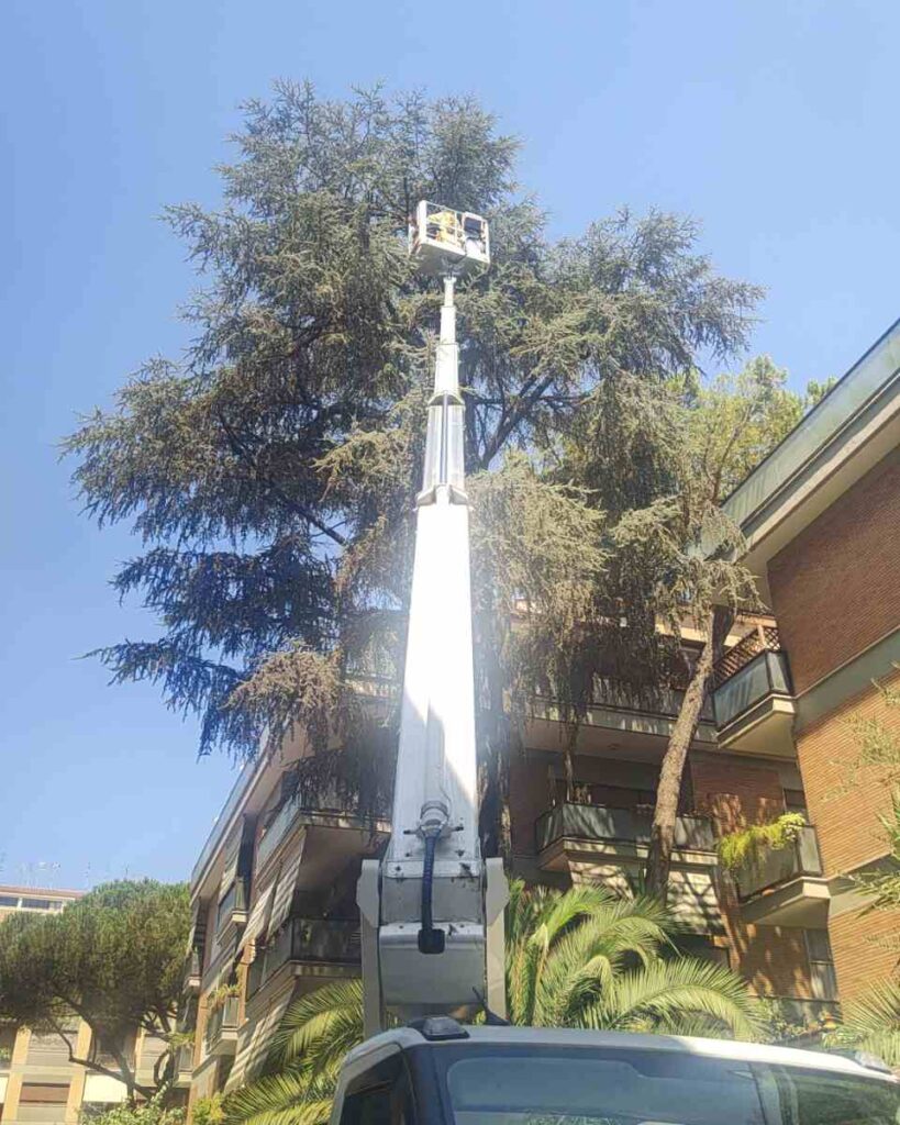Impresa di pulizie aree verdi Roma