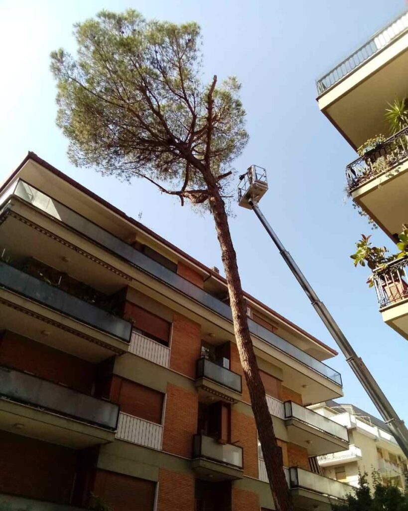 Pulizie aree verdi a Roma
